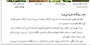 تدریس درس دوازدهم مطالعات هفتم - خانم شریفی