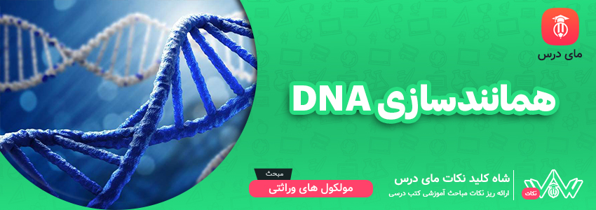 [شاه کلید مای درس] | همانندسازی DNA