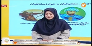 مطالعات اجتماعی هشتم ، درس 13 ، غزنویان ، شبکه آموزش(1 دی)