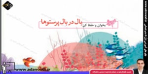 فارسی پنجم ابتدایی درس سیزدهم بخوان و حفظ کن بال در بال پرستوها