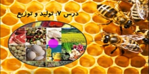 مطالعات اجتماعی پایه هفتم | درس ششم | بیمه و مقابله با حوادث