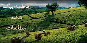 بیگ/ششم/ مطالعات/ درس 5/عوامل موثر در کشاورزی
