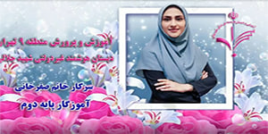 درس دوم هدیه های آسمان دوم دبستان ( پرندگان چه می گویند صفحات 14 تا 17)