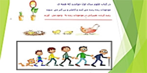 تدریس درس دوم مطالعات سوم ابتدایی(من رشدکرده ام)