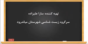 آزمایشگاه علوم (۱) فصل سوم: آزمایش شماره(18): ویتامین C در میوه ها و سبزی ها