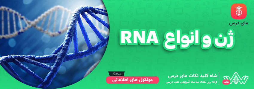 [شاه کلید مای درس] | ژن و انواع RNA