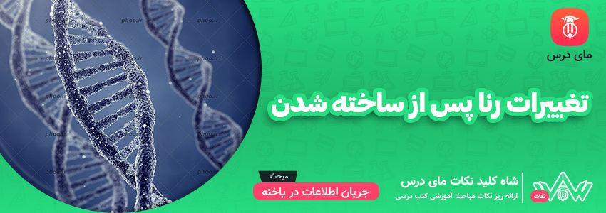 [شاه کلید مای درس] | تغییرات رنا پس از ساخته شدن