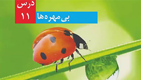 علوم چهارم ابتدایی فصل 11 : بی مهره ها