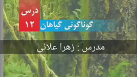 علوم چهارم ابتدایی فصل 12 : گوناگونی گیاهان