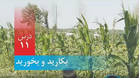 علوم تجربی پنجم ابتدایی فصل 11 : بکارید و بخورید