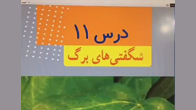 علوم تجربی ششم ابتدایی فصل 11 : شگفتی های برگ