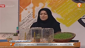 علوم تجربی ششم ابتدایی فصل 11 : شگفتی های برگ