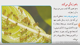 علوم تجربی ششم ابتدایی فصل 12 : جنگل برای کیست؟ (قسمت دوم)