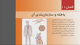 علوم تجربی هفتم متوسطه اول  فصل 11 : یاخته و سازمان بندی آن