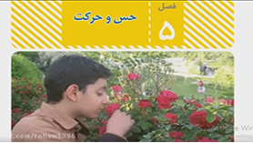 علوم تجربی هشتم متوسطه اول  فصل 5 : حس و حرکت