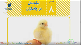 علوم تجربی هشتم متوسطه اول  فصل 8 : تولید مثل در جانداران