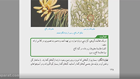 علوم تجربی نهم متوسطه اول  فصل 12 : دنیای گیاهان (قسمت دوم)