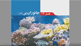 علوم تجربی نهم متوسطه اول  فصل 13 : جانوران بی مهره (قسمت اول)