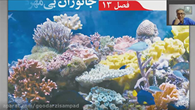 علوم تجربی نهم متوسطه اول  فصل 13 : جانوران بی مهره