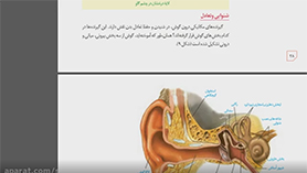 زیست شناسی یازدهم متوسطه دوم  فصل 2 : حواس (حواس ویژه) (قسمت دوم)