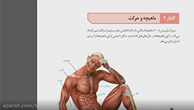 زیست شناسی یازدهم متوسطه دوم  فصل 3 : دستگاه حرکتی (ماهیچه و حرکت)