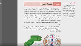 زیست شناسی یازدهم متوسطه دوم  فصل 6 : تقسیم یاخته (میتوز)
