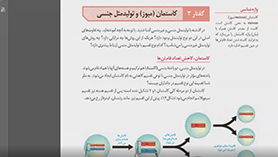 زیست شناسی یازدهم متوسطه دوم  فصل 6 : تقسیم یاخته (میوز و تولید مثل جنسی)