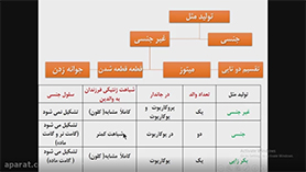 زیست شناسی یازدهم متوسطه دوم  فصل 6 : تقسیم یاخته (میوز و تولید مثل جنسی)