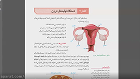 زیست شناسی یازدهم متوسطه دوم  فصل 7 : تولید مثل (دستگاه تولید مثل در زن)