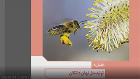 زیست شناسی یازدهم متوسطه دوم  فصل 8 : تولید مثل نهان دانگان (تولید مثل غیر جنسی)