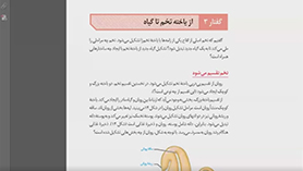 زیست شناسی یازدهم متوسطه دوم  فصل 8 : تولید مثل نهان دانگان (از یاخته تخم تا گیاه)