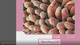 زیست شناسی دهم متوسطه دوم  فصل 2 : گوارش و جذب مواد (تنوع گوارش در جانداران)