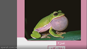 زیست شناسی دهم متوسطه دوم  فصل 3 : تبادلات گازی (ساز و کار دستگاه تنفس در انسان)