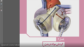 زیست شناسی دهم متوسطه دوم  فصل 4 : گردش مواد در بدن (قلب)