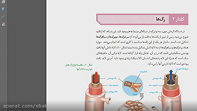 زیست شناسی دهم متوسطه دوم  فصل 4 : گردش مواد در بدن (رگ ها)