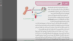 زیست شناسی دهم متوسطه دوم  فصل 4 : گردش مواد در بدن (خون)