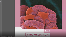 زیست شناسی دهم متوسطه دوم  فصل 5 : تنظیم اسمزی و دفع مواد زائد (هم ایستایی و کلیه ها)