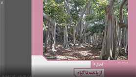 زیست شناسی دهم متوسطه دوم  فصل 6 : از یاخته تا گیاه زائد (ویژگی های یاخته گیاهی)
