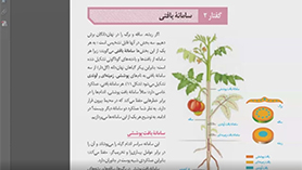 زیست شناسی دهم متوسطه دوم  فصل 6 : از یاخته تا گیاه زائد (سامانه بافتی)