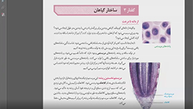 زیست شناسی دهم متوسطه دوم  فصل 6 : از یاخته تا گیاه زائد (ساختار گیاهان)