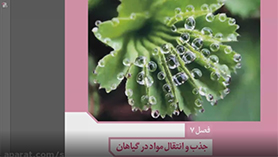 زیست شناسی دهم متوسطه دوم  فصل 7 : جذب و انتقال مواد در گیاهان (تغذیه گیاهی)