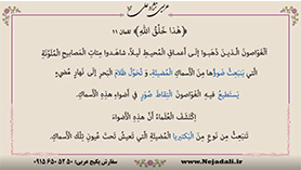 عربی دهم انسانی متوسطه دوم درس 5 : هذا خلق الله (ترجمه درس، بررسی لغت ها و حل تمرین ها)