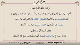 عربی دهم متوسطه دوم درس 5 : هذا خلق الله (ترجمه درس، بررسی لغت ها و حل تمرین ها)