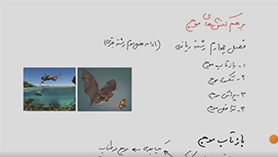فیزیک دوازدهم متوسطه دوم  فصل 4 : بر هم کنش های موج (بازتاب موج)