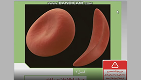 زیست شناسی دوازدهم متوسطه دوم  فصل 2 : جریان اطلاعات در یاخته (تنظیم بیان ژن) (قسمت دوم)