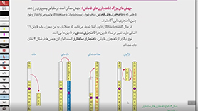 زیست شناسی دوازدهم متوسطه دوم  فصل 4 : تغییر در اطلاعات وراثتی (قسمت دوم)
