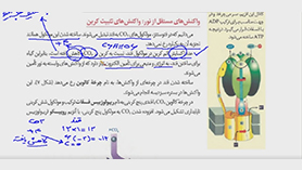 زیست شناسی دوازدهم متوسطه دوم  فصل 6 : از انرژی به ماده (واکنش های مستقل از نور: چرخه کالوین یا واکنش های تثبیت کربن)