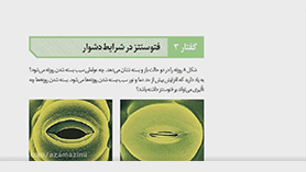 زیست شناسی دوازدهم متوسطه دوم  فصل 6 : از انرژی به ماده (فتوسنتز در شرایط دشوار)