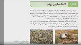 زیست شناسی دوازدهم متوسطه دوم  فصل 8 : رفتارهای جانوران (انتخاب طبیعی و رفتار) (قسمت اول)