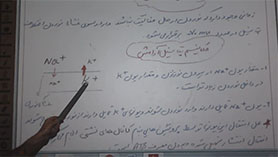 زیست شناسی یازدهم متوسطه دوم  فصل 1 : تنظیم عصبی (فصل 1 - گفتار اول - تنظیم عصبی - بخش اول)